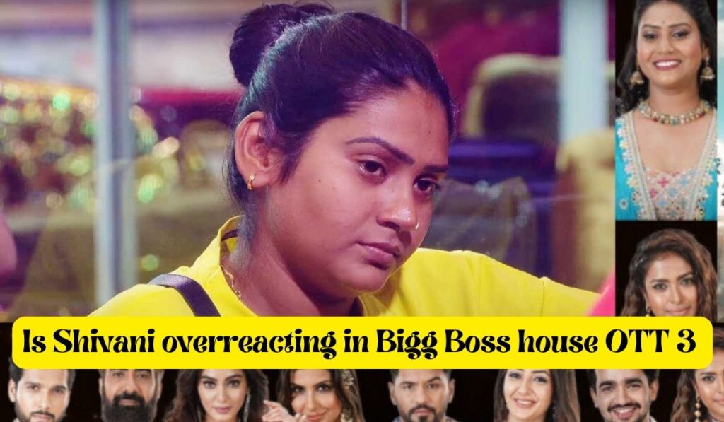 Is Shivani overreacting in Bigg Boss house OTT 3